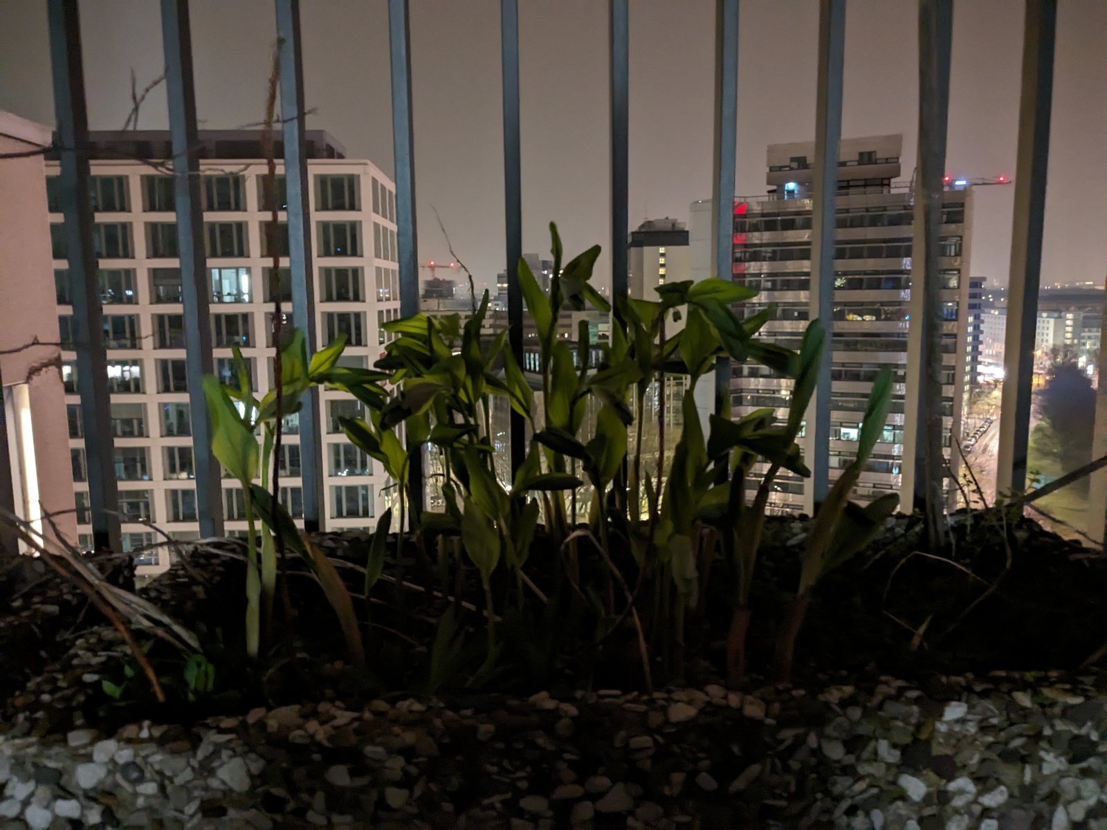 TV Snacks and a Spirit Box